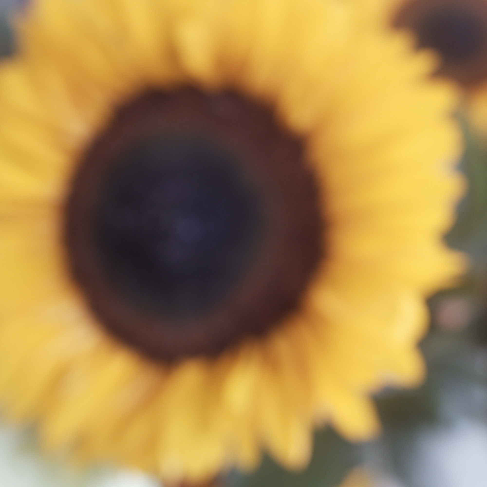 Darüber freue ich mich