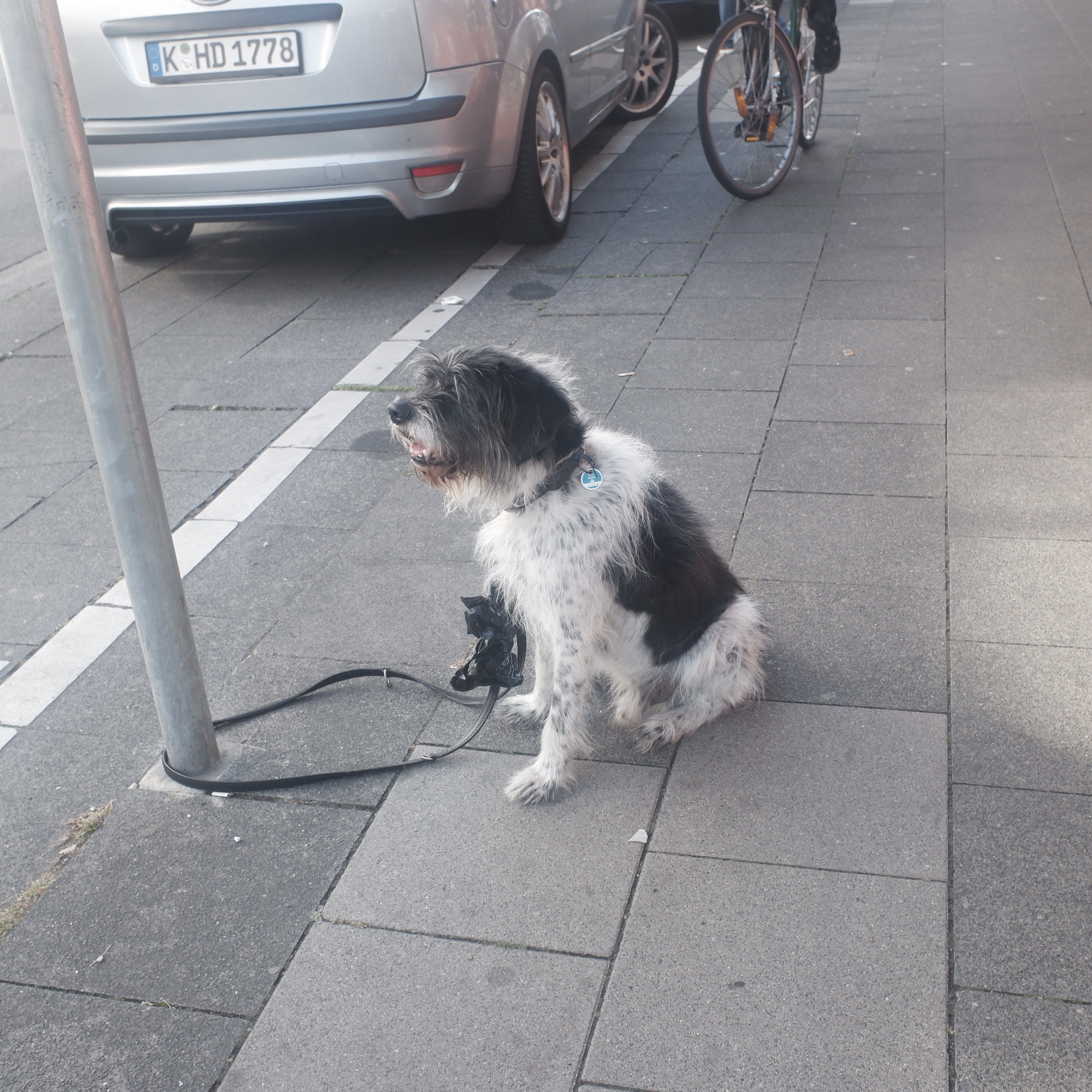 Sie bleiben ruhig sitzen wenn ich fotografiere
